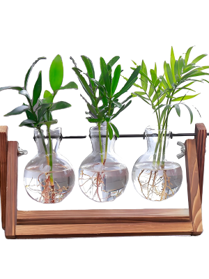 Glass and Wood Vase Planter Terrarium Table Desktop Hydroponics Plant Bonsai Flower Pot Hanging Pots with Wooden Tray Home Décor
