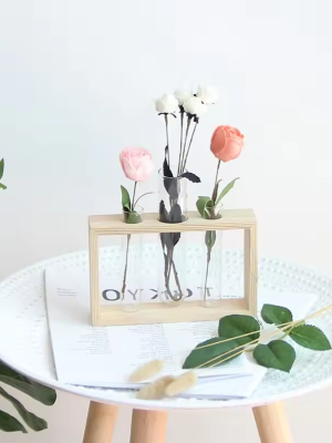Tabletop ornament test tube plant (1) Tabletop ornament test tube plant hydroponic flower propagation station glass crystal vase with wooden stand for home décor