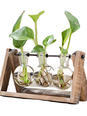 Ewer Crystal Glass Test Tube Vase Planter Desktop Glass Planter Flower Pots Wooden Stand