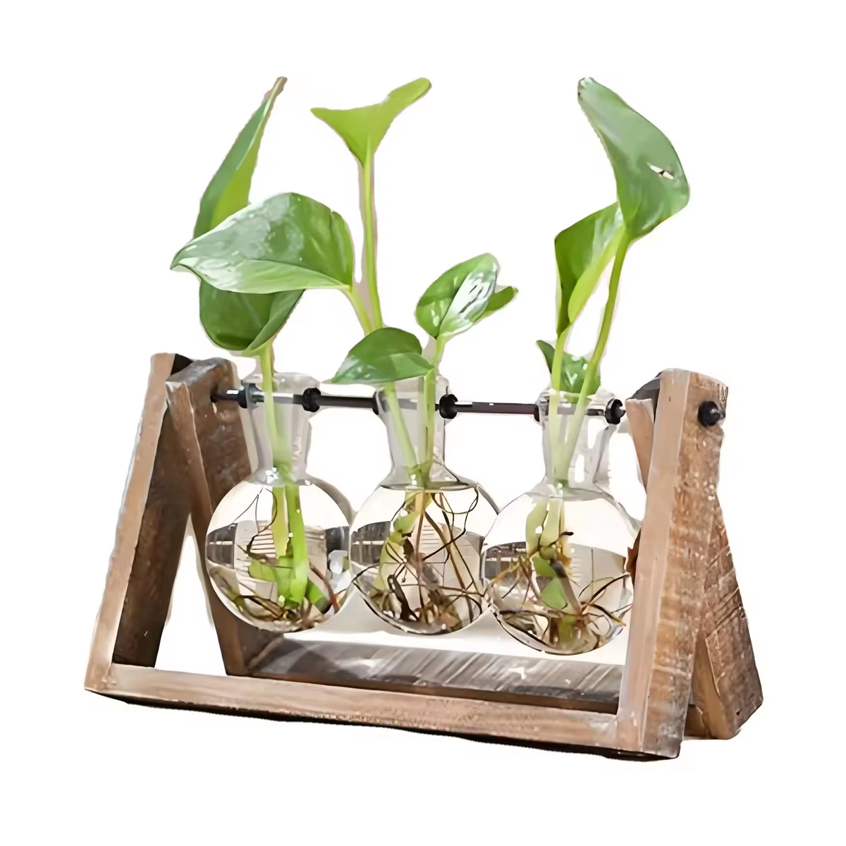 Ewer Crystal Glass Test Tube Vase Planter Desktop Glass Planter Flower Pots Wooden Stand
