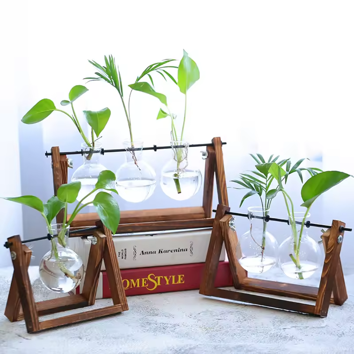 Ewer Crystal Glass Test Tube Vase Planter Desktop Glass Planter Flower Pots Wooden Stand - Image 5